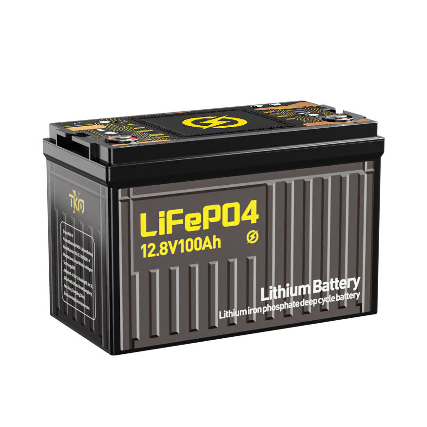 Takumi 100Ah LiFePO4 Battery